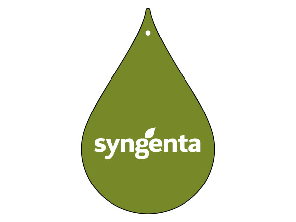 scentedgadget.it  Example:     scentedgadget.it Custom car air fresheners 1501
